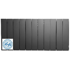 Біметалевий радіатор ASG 300/100 Графіт/Срібний