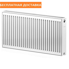 BIASI (Италия) 500х1000 22 тип стальной радиатор боковое подключение